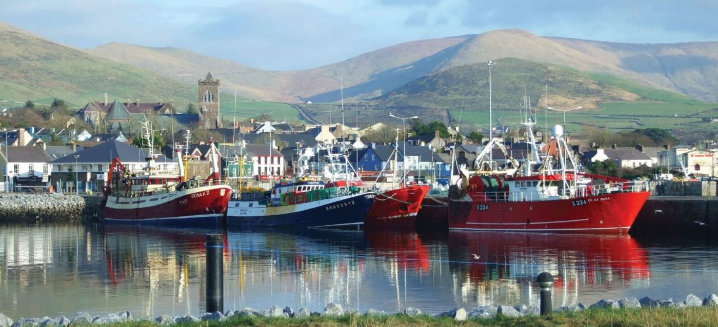 Dingle