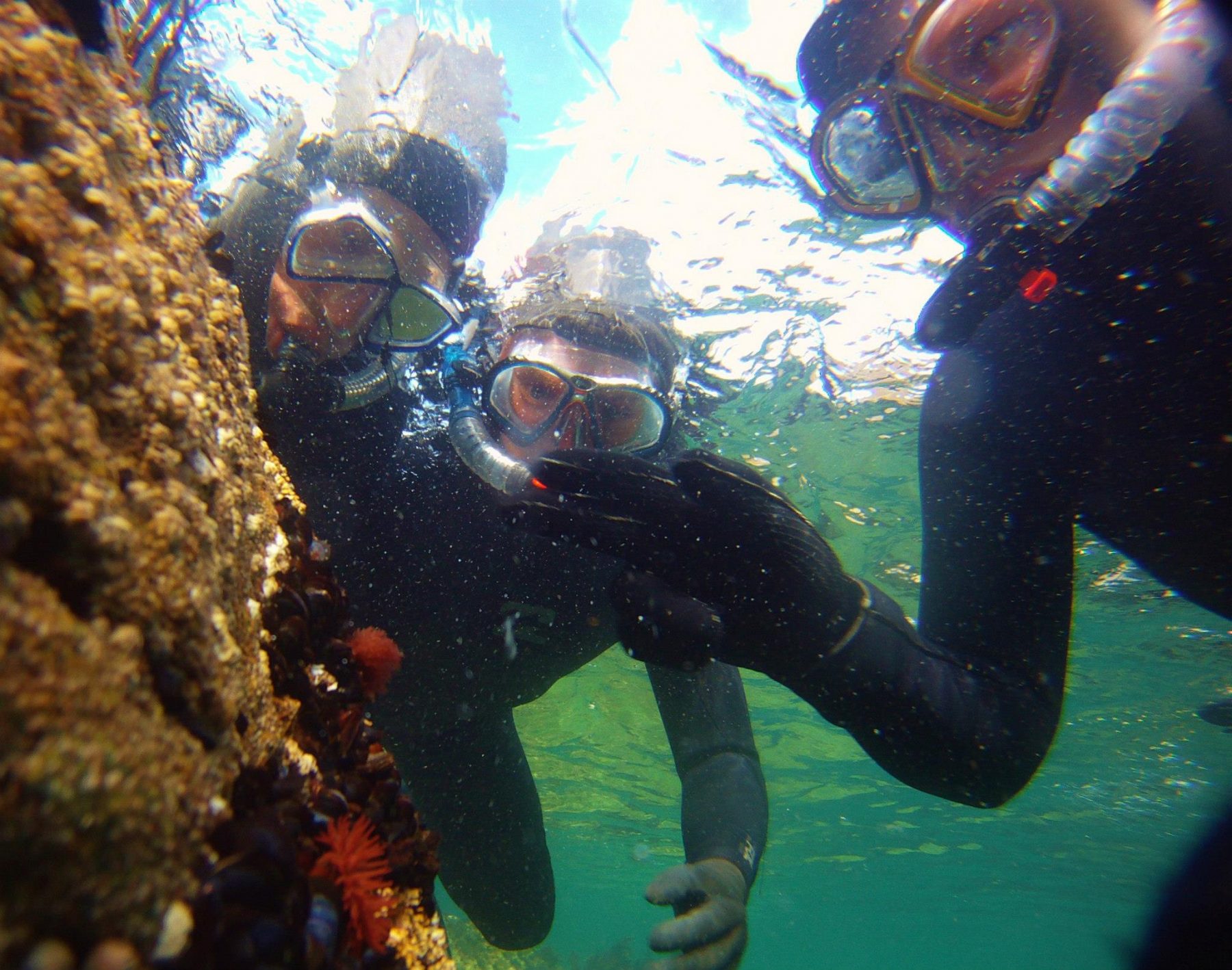 snorkelling